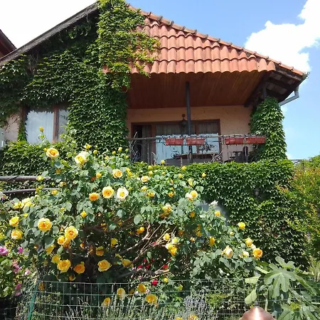 Guest Rooms Amazonka-3